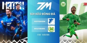 Kèo nhà cái Hoffenheim vs Wolfsburg hôm nay ngày 14/03/2026 - Bundesliga